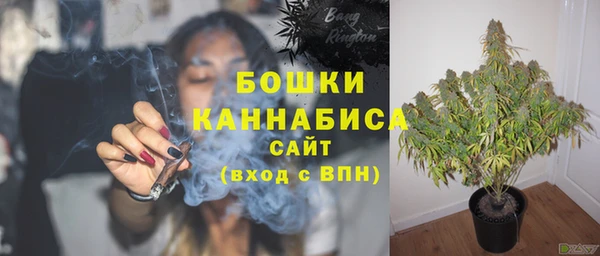 мяу мяу мука Белокуриха
