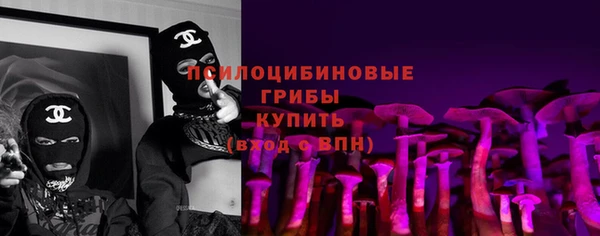 мяу мяу мука Белокуриха