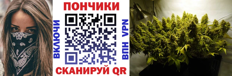 Купить  Медвежьегорск  Бошки Шишки семена 